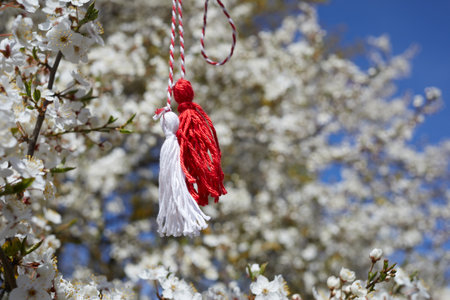 Bulgarian traditional spring decor martenitsa on the blossom tree. Baba Marta holiday.の写真素材