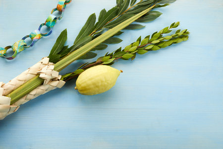 Jewish festival of Sukkot. Sukkot traditional symbols. Four species etrog, lulav, willow and myrtle.