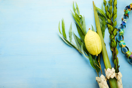 Jewish festival of Sukkot. Sukkot traditional symbols. Four species etrog, lulav, willow and myrtle.
