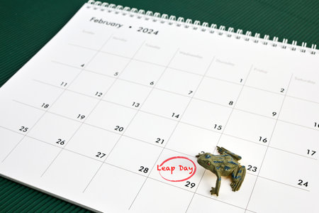 Happy Leap day or leap year. Calendar page 29 February.の写真素材