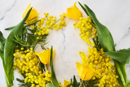 Mimosas and tulips frame on marble backgroundの写真素材