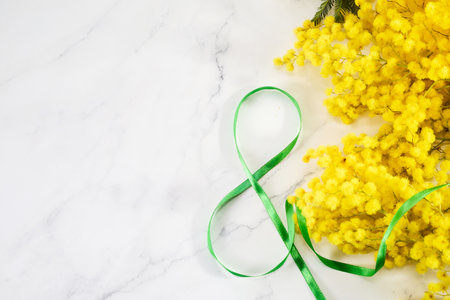 Greeting for International Womens Day on March 8th. Branches of mimosa.の写真素材