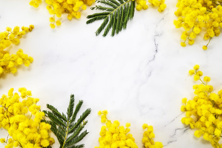 Frame of mimosa flowers on marble background. Flat lay, Spring conceptの写真素材