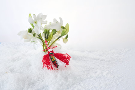 Snowdrops flowers with a red and white martenitsa on a snow background. Martisor and Baba Marta.の写真素材
