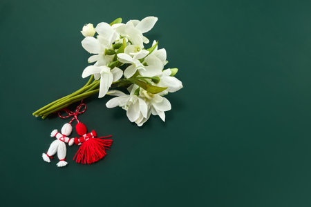 A bouquet of snowdrops flowers and a red-white martenitsa, a symbol of the holiday on March 1, Martisor, Baba Marta.の写真素材