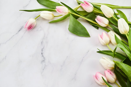 Tulip frame arrangement, on a marble backgroundの写真素材