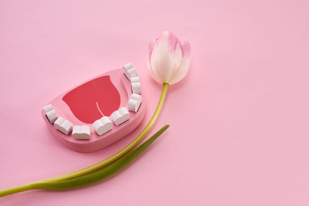 Happy Dentists Day concept. Dental background with teeth, and tulips on pink background