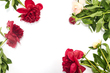 Floral Frame with Red and Pink Peonies. Flat lay.の写真素材