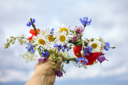 Summer Solstice Day, Midsummer. pagan witch traditions. Hand Holding a Colorful Floral Wreath of Wildflowersの写真素材