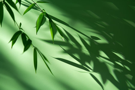 Green bamboo leaves casting shadows on a light green background, creating a calming and natural scene.の素材