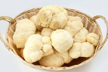 Basket of Lions Mane Mushrooms