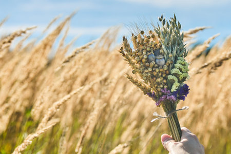 Assumption of Mary day. Bouquet in Wheat Fieldの写真素材