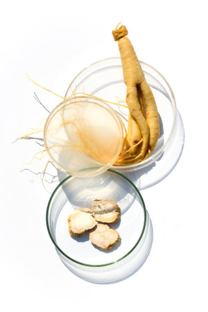 Ginseng Root and Liquid in petri dishの写真素材