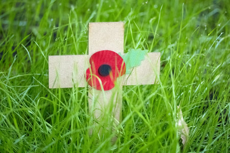 Remembrance day. Poppy Memorial. A wooden cross with a red poppy in a field of green grass.の写真素材