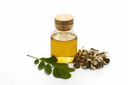 Moringa Oil Composition on white backgroundの写真素材