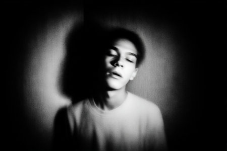 Dreamy Shadowsの素材