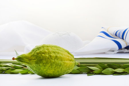 Sukkot Symbols. Yellow etrog with lulav branches on a Jewish prayer shawl symbolizing the Sukkot festivalの写真素材