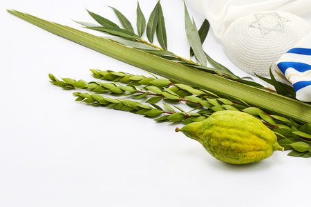Sukkot Celebration Set. Sukkot ritual items including etrog, lulav, myrtle, willow, and kippahの写真素材