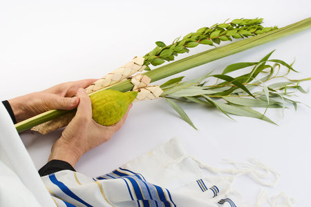 Jewish festival of Sukkot. Traditional symbols Etrog and Lulav in hands