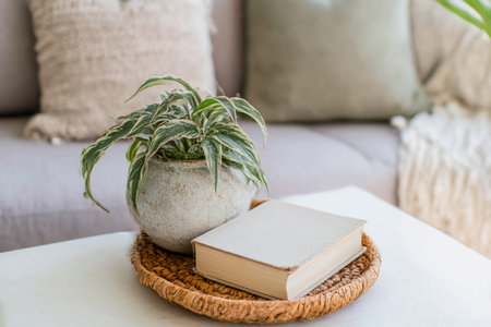 Cozy Living Spaceの素材