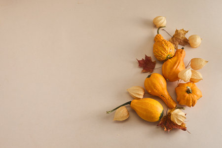 Autumn holiday frame from decorative pumpkins, top view. Harvest, autumn and fall backgroundの写真素材