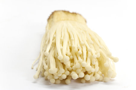 Enoki Mushrooms. Close-up of fresh enoki mushrooms against a white background.の写真素材