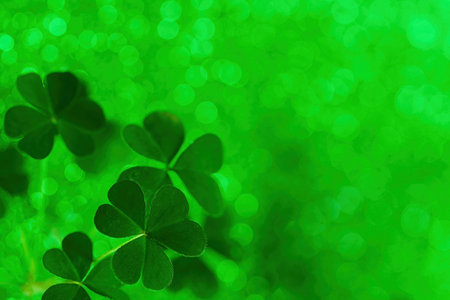 Shamrocks growing with glittering green bokeh background celebrating st patricks day