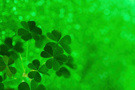 Shamrocks growing with glittering green bokeh background celebrating st patricks day