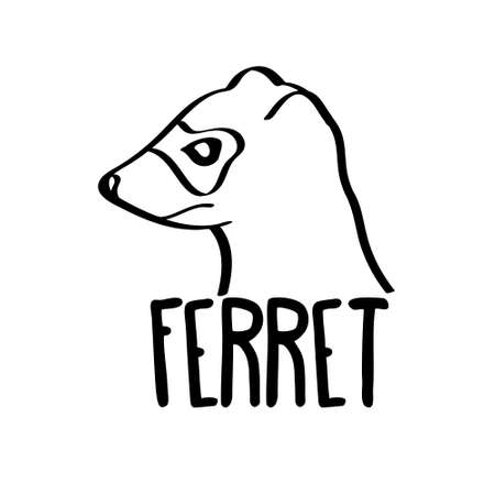 Vector  of a ferret with the inscription. Black on white.のイラスト素材