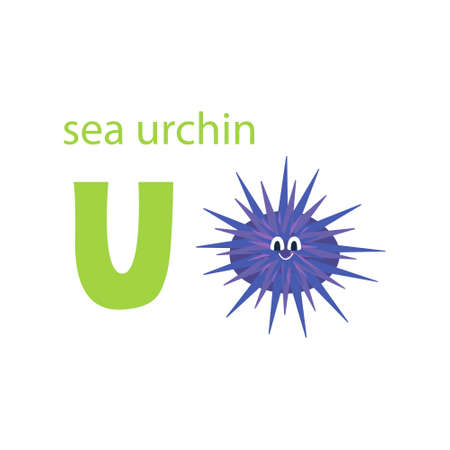Cute sea urchin card. Alphabet with animals. Colorful design for teaching children the alphabet, learning English. Vector illustration in a flat cartoon style on a white background.のイラスト素材
