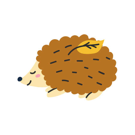 Cute hedgehog with an autumn leaf. Vector illustration in a flat doodle style on a white backgroundのイラスト素材