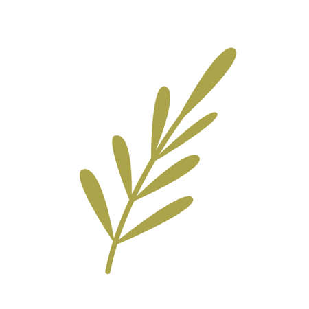 Simple plant, twig with leaves, vector flat design element.のイラスト素材