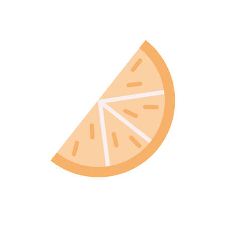 Lemon slice, vector flat illustration on white backgroundのイラスト素材