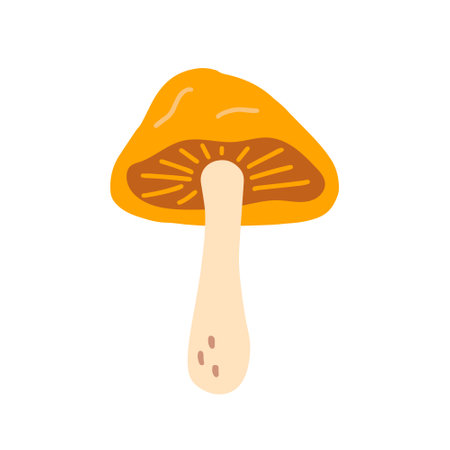 Lactarius, mushroom with an orange cap, vector flat illustration on white backgroundのイラスト素材