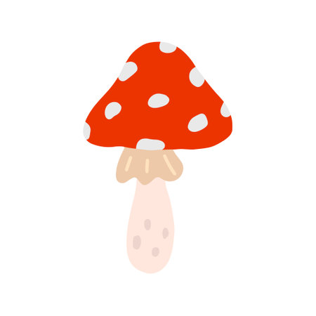 Amanita, vector flat illustration on white backgroundのイラスト素材