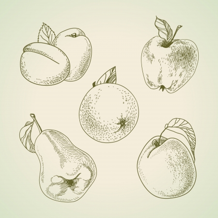 vintage fruit, stylized drawing handsのイラスト素材