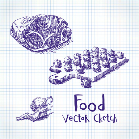 Vector vintage set of sketches. Meat and meat ballsのイラスト素材