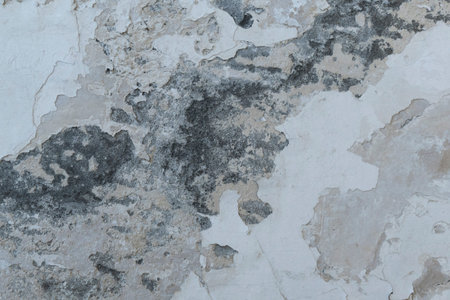 stone wall texture backgroundの写真素材