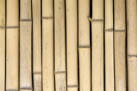 bamboo wall backgroundの写真素材