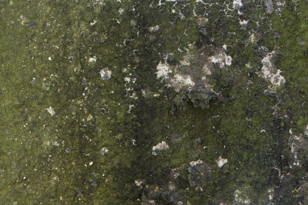 stone wall texture backgroundの写真素材