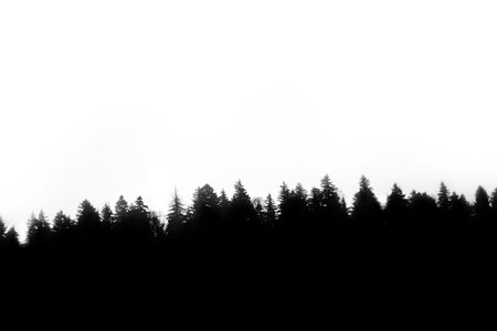forest silhouette isolated