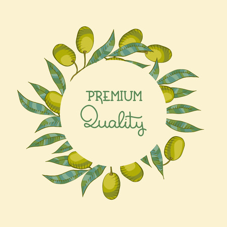 BAckground with Olive branch and green oliveのイラスト素材