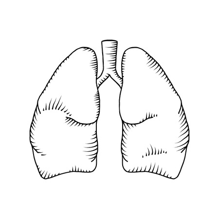 Lung vector detailed illustration. medical backgroundのイラスト素材