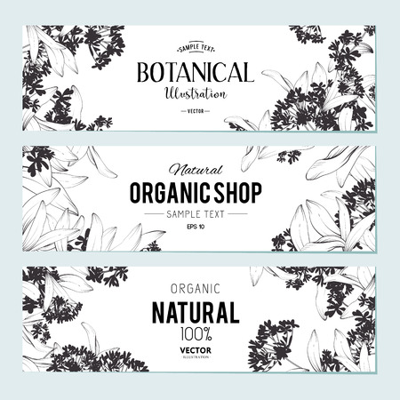 Plants and herbs banners set. Element for design or invitation cardのイラスト素材