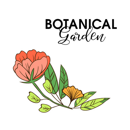 Plants and herbs background. Element for design or invitation cardの写真素材