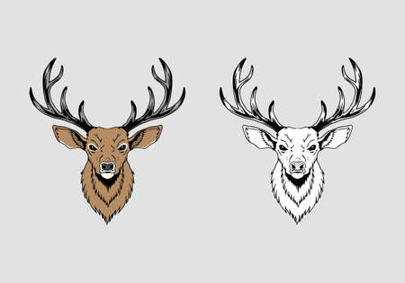 deer vector designのイラスト素材