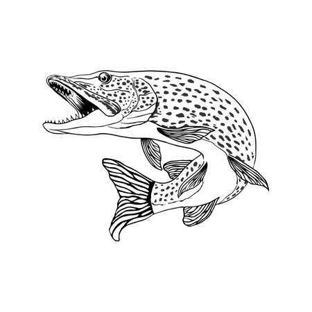 the nort pike vector designのイラスト素材