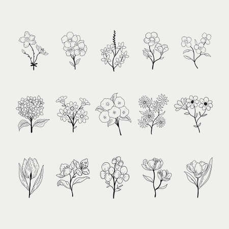 floral flower vector designのイラスト素材