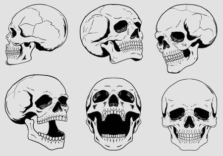skull setのイラスト素材