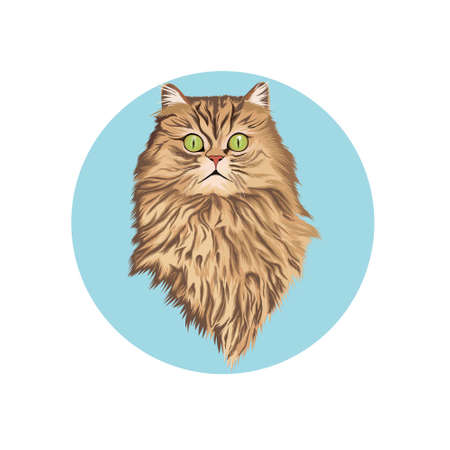 cat vector designのイラスト素材